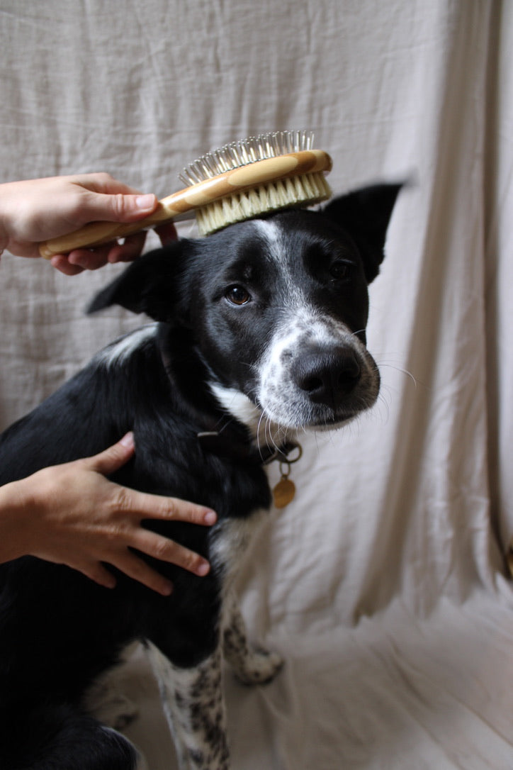 Two-sided Dog Brush