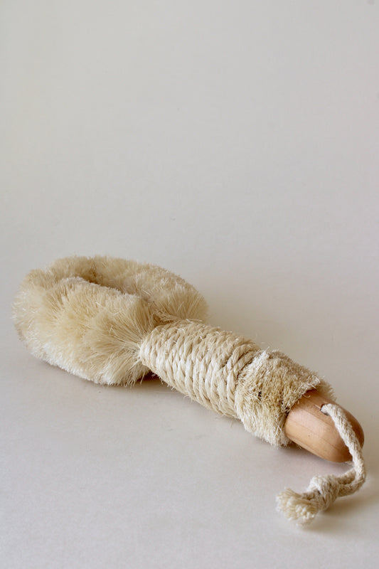Body Dry Brush with Handle
