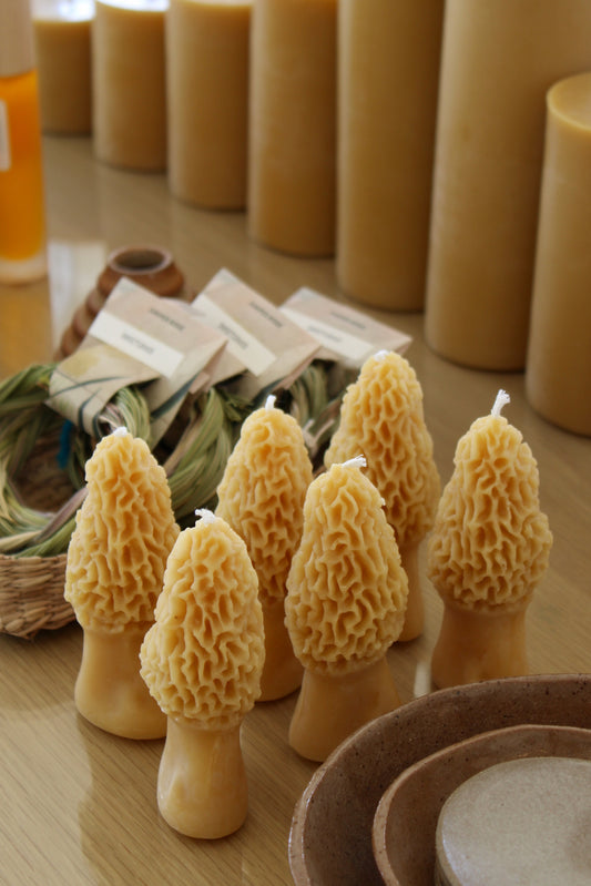 Morel Mushroom Beeswax Candle