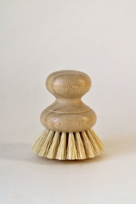 Dish Brush