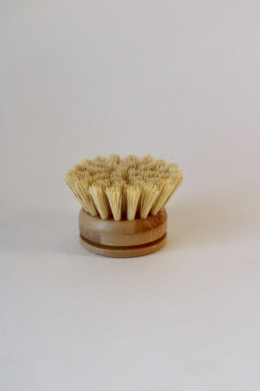 Replacement Head